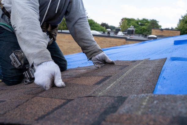 Best Roof Insulation Installation  in Coing, AL